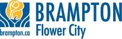 City of Brampton Testimonial for former Kifinti Solutions Ivanti Service Manager Consultant
